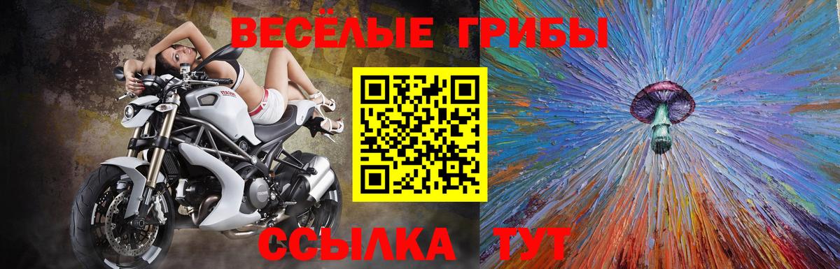 Псилоцибиновые грибы Psilocybine cubensis  Вход с VPN  Азнакаево 